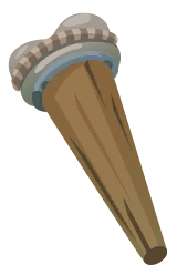 Wooden Leg in Costa Rica