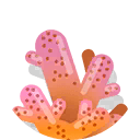 broken coral