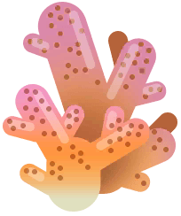 Broken Coral in Costa Rica