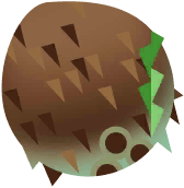 Coconut in Costa Rica