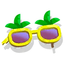 sunglasses