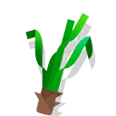 turtlegrass