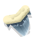 giant shark tooth
