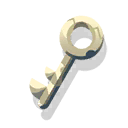 crocodile key