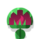 venus flytrap