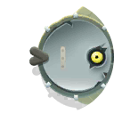 banjoplayer