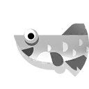 Knifetail