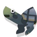 river turtle