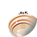 quagga mussels