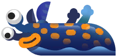 Nudibranch in Costa Rica