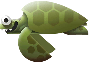 Olive Ridley Sea Turtle in Costa Rica