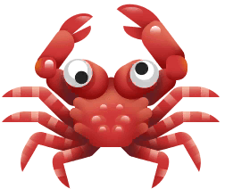 Red-Ridged Clinging Crab in Costa Rica