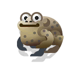 common toad
