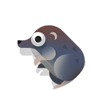 water shrew