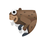 eurasian beaver