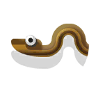 rainbow water snake